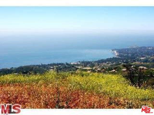 0 Latigo - Photo 1