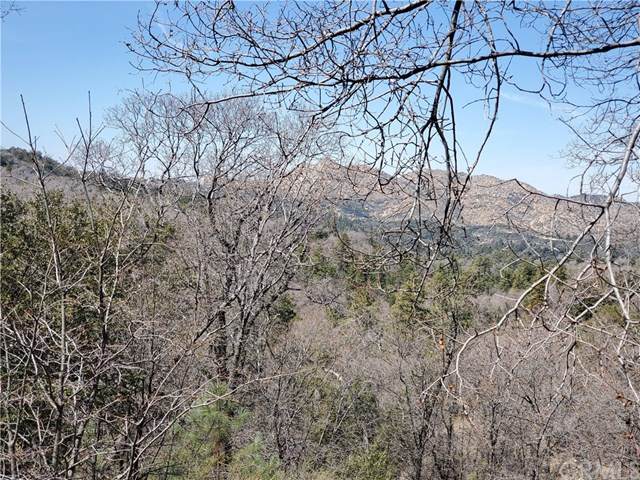 0 Little Ponderosa - Photo 1