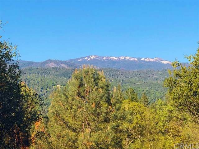 0-3.85 AC Foothill Lane - Photo 1