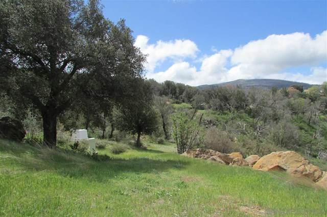 919 West Incense Cedar Road - Photo 1