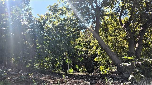 434 El Paseo Road - Photo 1