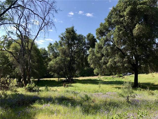 3984 Pacific Bars Road - Photo 1