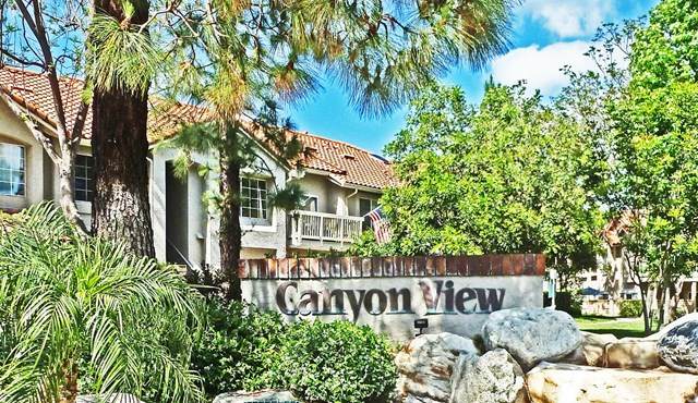 29028 Canyon Ridge Drive - Photo 1 29028 Canyon Ridge Drive - Photo 1