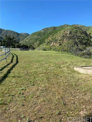 13910 Kagel Canyon Road - Photo 1