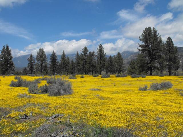 56475 Apple Canyon Road - Photo 1 56475 Apple Canyon Road - Photo 1