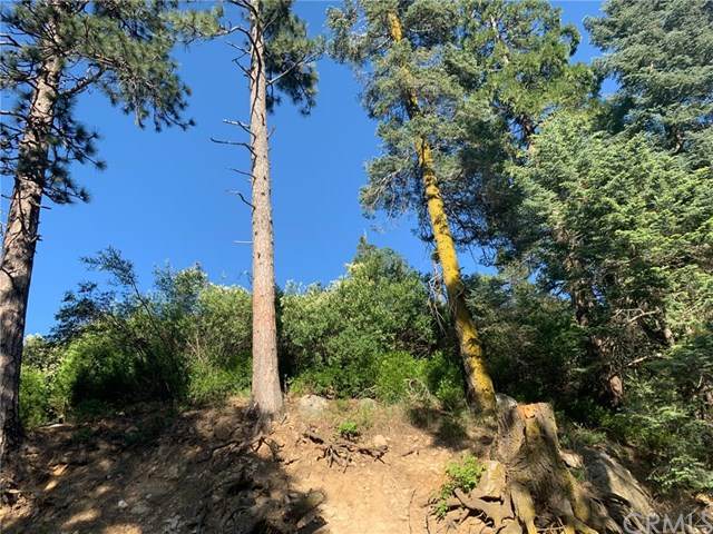 0 Sawpit Creek Road - Photo 1