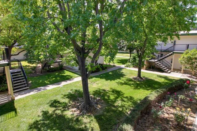 14225 Lora Drive - Photo 1