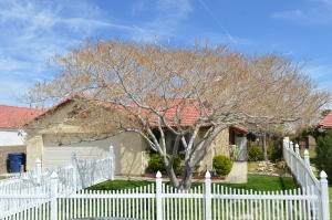 37006 Justin Court - Photo 1 37006 Justin Court - Photo 1