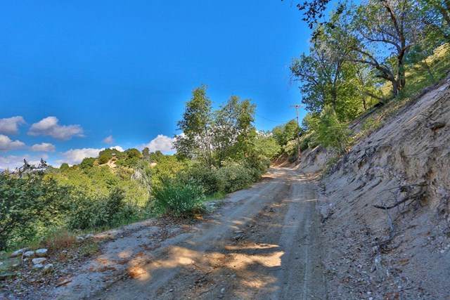 0 Hickory Drive - Photo 1