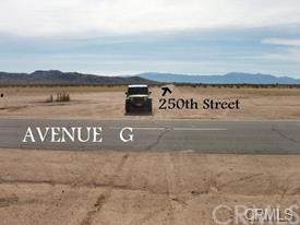 0 250th Street E. - Photo 1