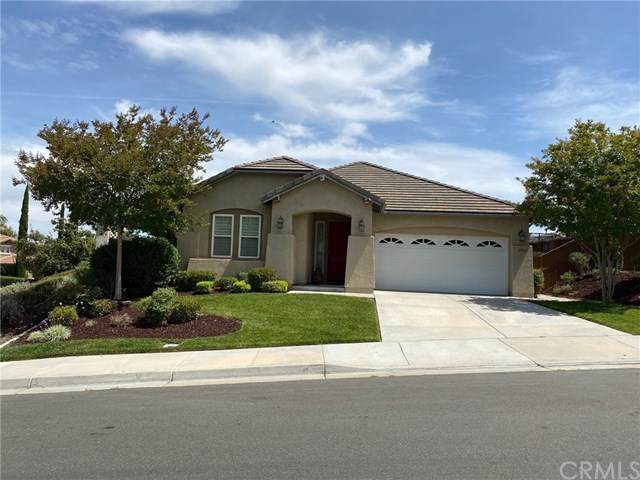 33842 Flora Springs Street - Photo 1