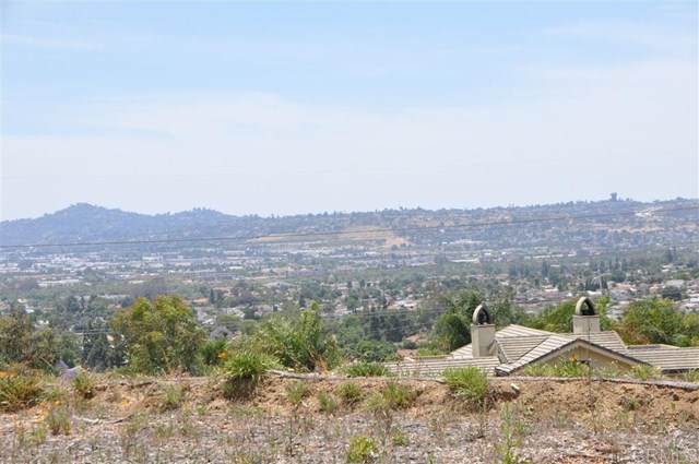 11010 N Magnolia Ave - Photo 1
