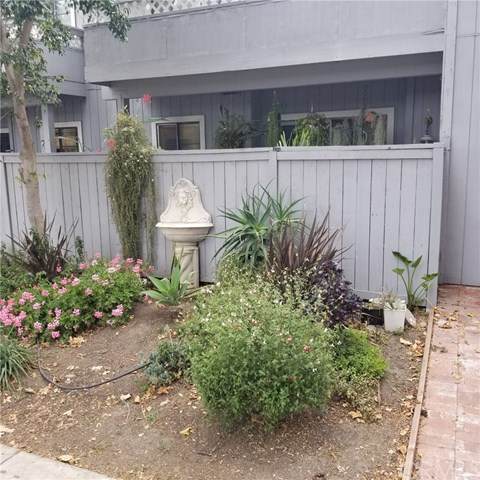 32221 Alipaz Street - Photo 1