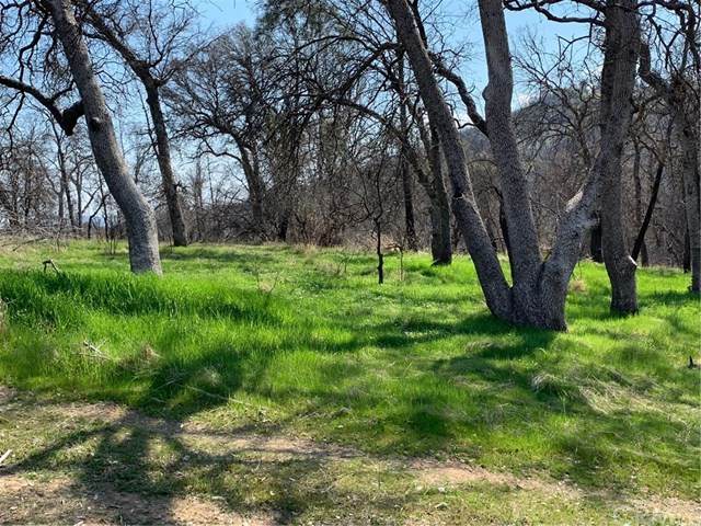 4980 Hummingbird Lane - Photo 1