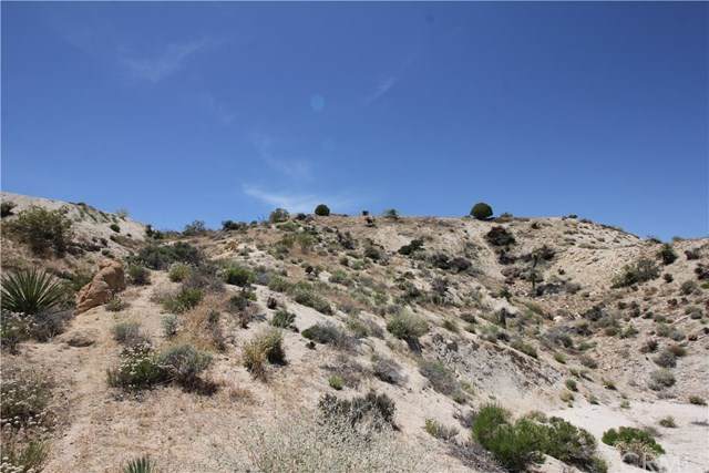 5996 Buena Suerte Road - Photo 1