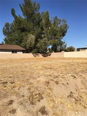 12801 Candlewick Lane - Photo 1