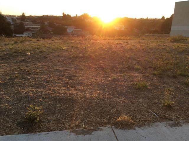 1037 Freedom Boulevard - Photo 1