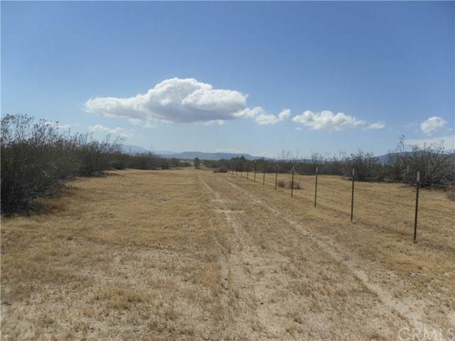 230 Gaskell Road - Photo 1