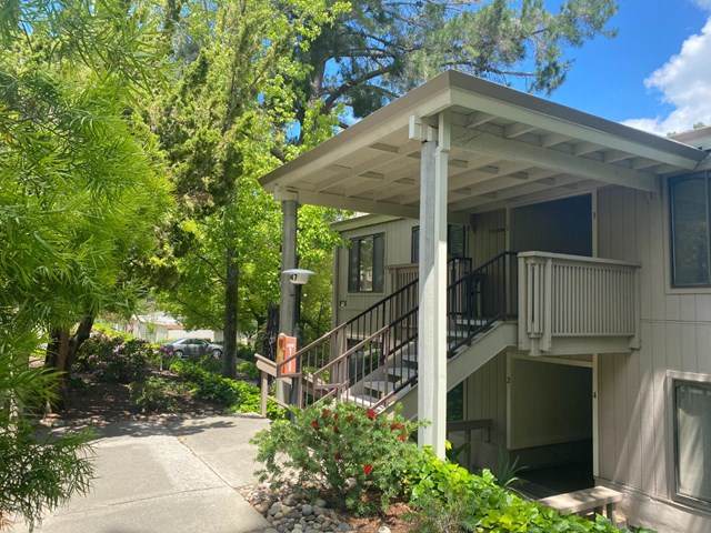 1147 Running Springs Road - Photo 1