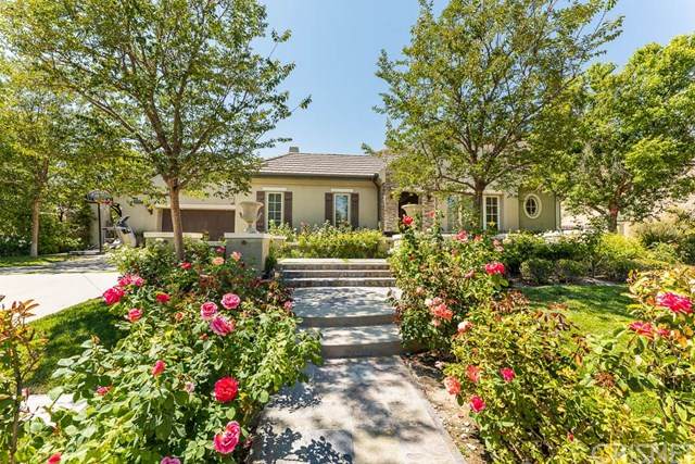 25281 Prado Del Grandioso - Photo 1
