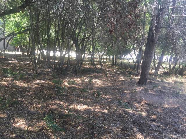 10115 Point Lakeview Road - Photo 1