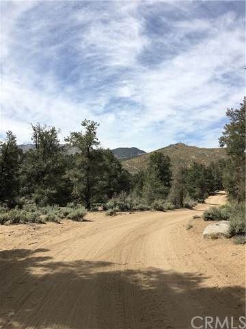 0 Up The Hill Road - Photo 1