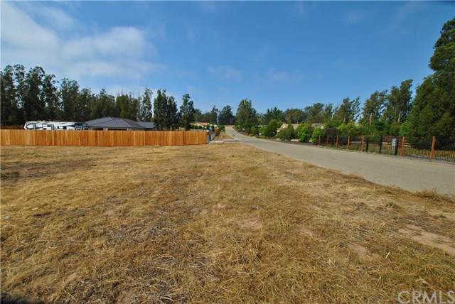 1560 Camino Mariposa - Photo 1
