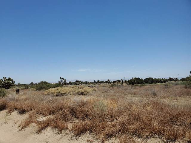 0 Middleton / Phelan Road - Photo 1