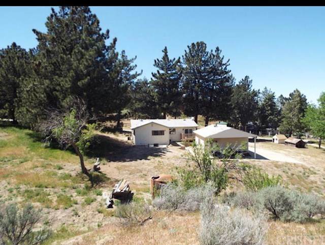 40100 97th Street - Photo 1