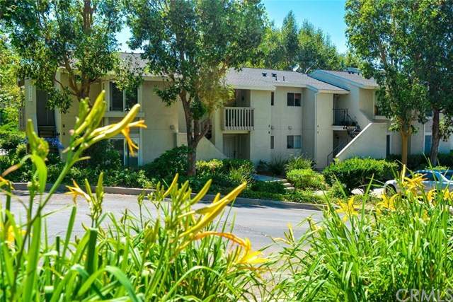 26241 Las Flores - Photo 1