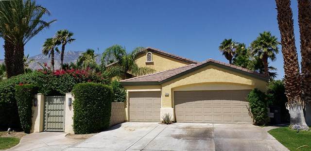 3375 Avenida San Gabriel Road - Photo 1