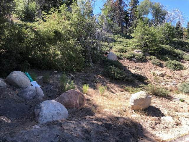 33641 Angeles Drive - Photo 1