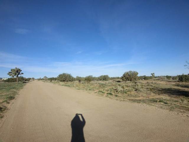 8790 Mesa Street - Photo 1