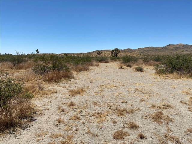 0 Plato Road - Photo 1