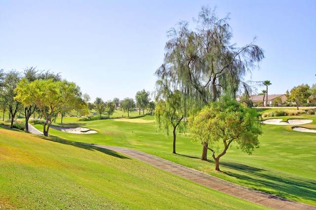 80535 Camino San Lucas - Photo 1