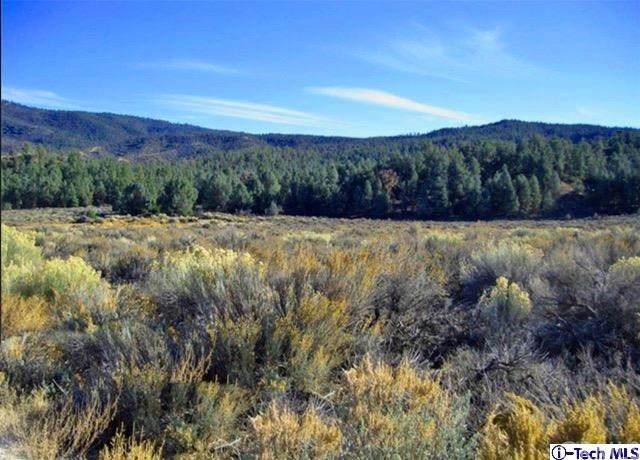 0 Lockwood Valley Road - Photo 1
