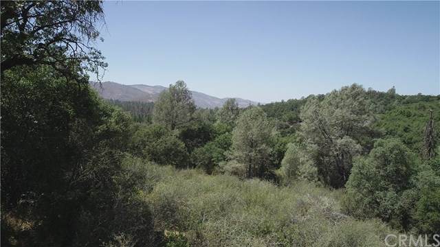16 Cedar Gulch Lane - Photo 1