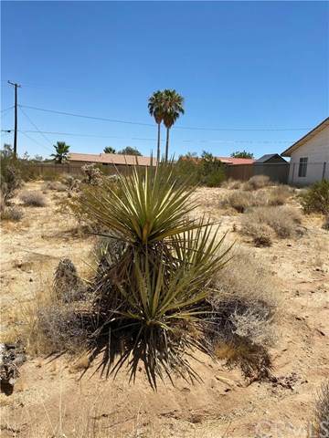 6601 Quail Spring Avenue - Photo 1