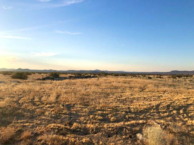 0 Gold Nugget Road - Photo 1