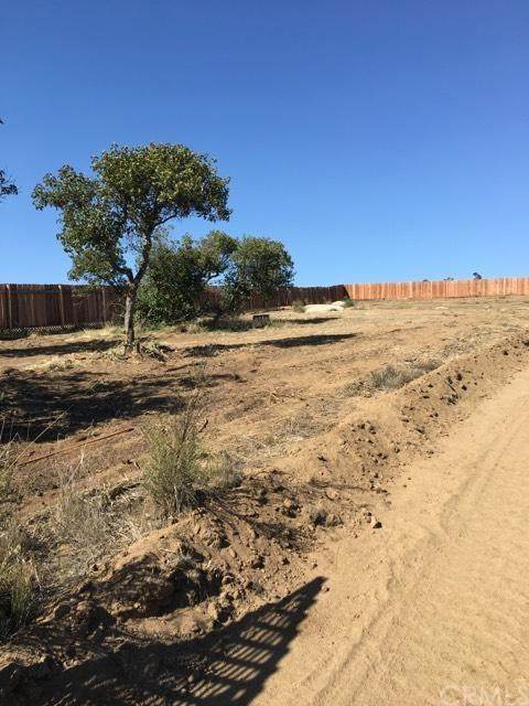 42641 Alexander Drive - Photo 1
