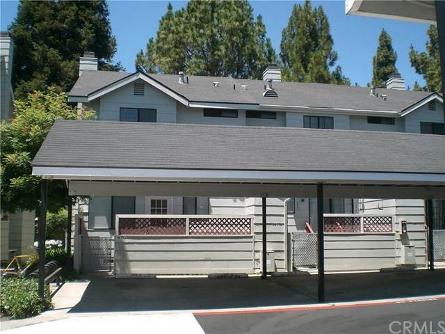 385 Chorro Street - Photo 1