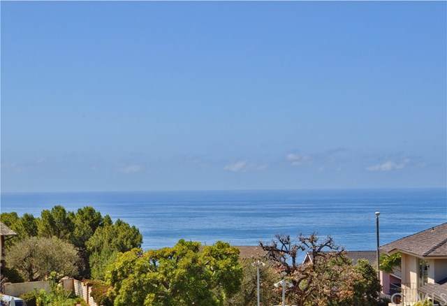 31205 Ganado Drive - Photo 1