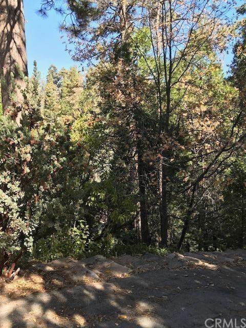 26241 Thunderbird Drive - Photo 1