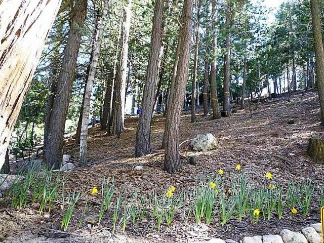 380 Annandale Drive - Photo 1