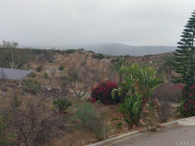 16390 Dia Del Sol - Photo 1