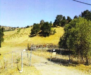 0 0 - Photo 1