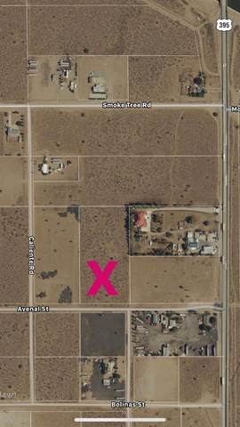 0 Avenal Street - Photo 1