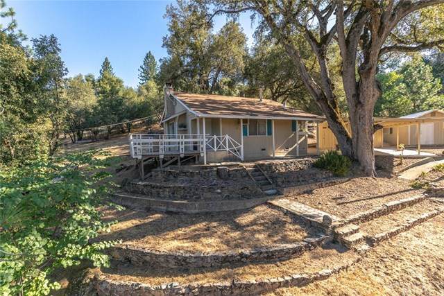 5197 Chowchilla Mountain Road - Photo 1