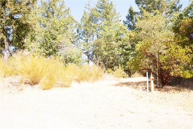 13265 Adams Springs Drive - Photo 1