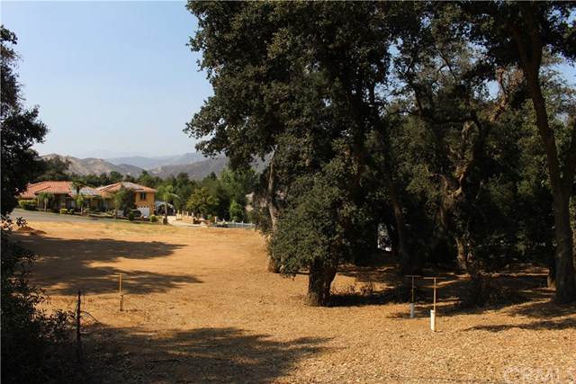 37225 Vista View Dr - Photo 1